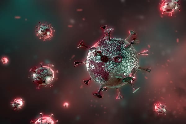 Infectious Diseases & Immunology